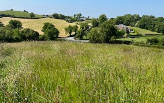 Land to lease c.70 Acres