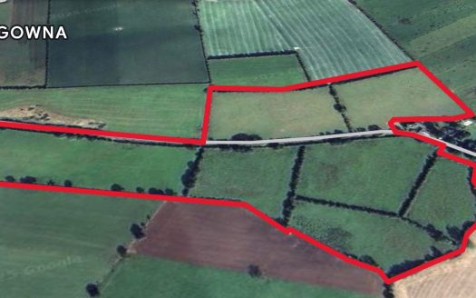 LAND FOR LEASE LAND TO LEASE c.38 ACRES AT DRUMGOWNA, LOUTHVILLAGE PO, DUNDALK, CO. LOUTH