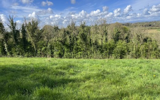 Clone:  NEW TO MARKET LAND FOR SALE BY PRIVATE TREATY c.22.36 Acres (c.9.05ha) at Clonkeelan, Drumully, Clones, Co. Monaghan
