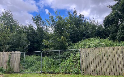 Exceptional Development Opportunity – Prime Shorefront Site in Omeath c.1.1 Acres.  KNOCKNAGORAN, SHORE RD, OMEATH, CO. LOUTH