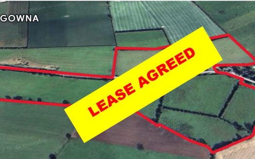 LAND FOR LEASE LAND TO LEASE c.38 ACRES AT DRUMGOWNA, LOUTHVILLAGE PO, DUNDALK, CO. LOUTH