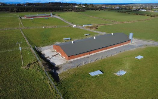 Turnkey Louth Poultry Farm on c.34 Acres Offers Excellent Business Opportunity in Drogheda