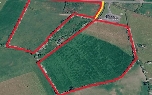 LAND TO LEASE c.9.58Acres (c.3.88ha) Corrinenty, Shantonagh, Castleblayney, Co.Monaghan