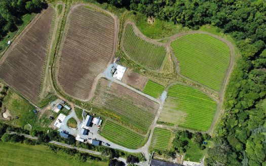 For Sale – Bespoke Irish Winery (as a going concern or otherwise)
