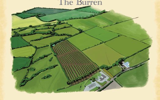 For Sale – Bespoke Irish Winery (as a going concern or otherwise)