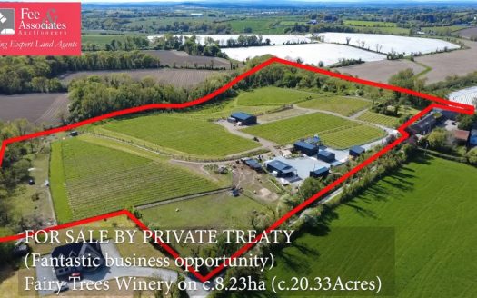 For Sale – Bespoke Irish Winery (as a going concern or otherwise)